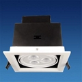 LED DOWN LAMP