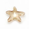 6721  crystal starfish