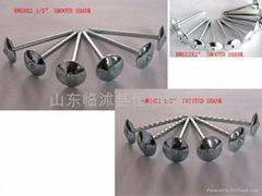 Roofing Nails with umbrella head