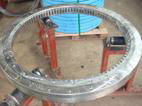 slewing ring bearing