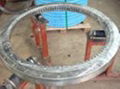 slewing ring bearing