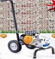 Airless Paint Sprayer DF320A