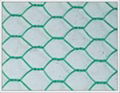 Hexagonal Wire Mesh