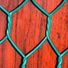 Hexagonal Wire Mesh 3