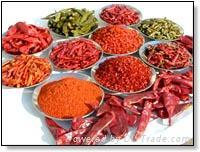 any kinds of chilli