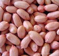 peanut kernels 3