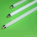 fluorescent lamps 