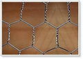 hexagonal mesh 2