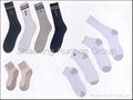 women's sock 1