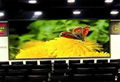 ph7.62 indoor full color led display