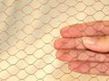 hexagonal wire mesh 1