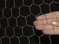 hexagonal wire mesh 5