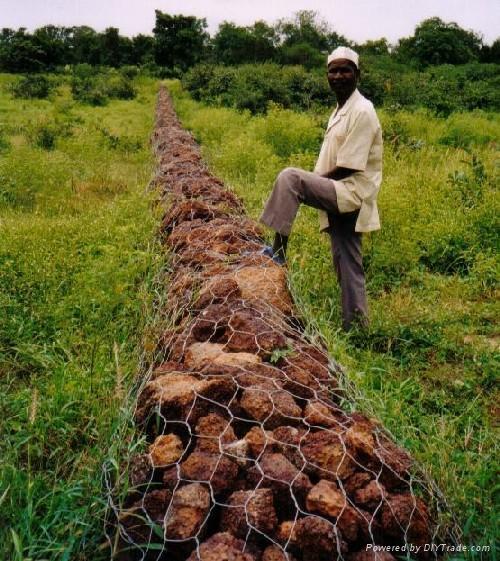 Gabion box made of galvanized steel wire , 2m X 1m X 1m, 80mm X 100mm 3