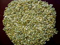 Shine Skin pumpkin seed Kernels  1