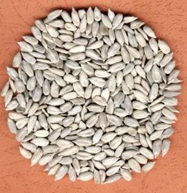 Sunflowr seed kernels bakery 3