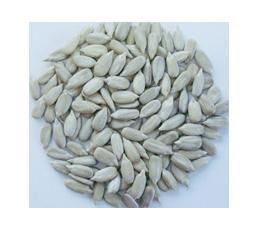 Sunflowr seed kernels bakery 5