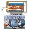 automatic oil/gas water boiler