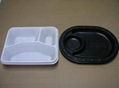 plastic food tray 1