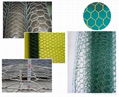 Hexagonal Wire Netting