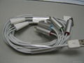 iPhone/iPod AV Cable 1