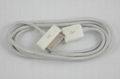 iPhone/iPod AV Cable 2