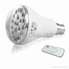 LED LIGHT BULB