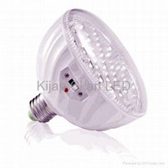 LED LIGHT