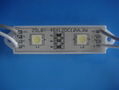 5050 2-leds SMD Module  2