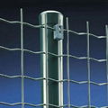 holand wire mesh 4