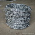 Barbed Wire protective net 4