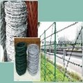 Barbed Wire protective net 1