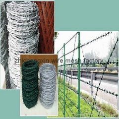 Barbed Wire protective net