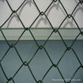 Chain Link Fence / oblique side net