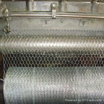 hexagonal wire mesh