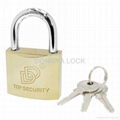 electroplated padlock