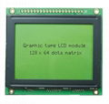 Graphic LCD Display 1