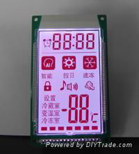 Custom LCD Module