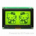 Graphic LCD Module