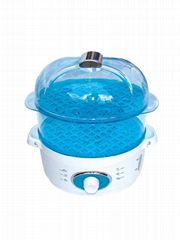 food steamer 