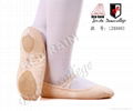 Black Spilt soles canvas ballet shoes--dance shoes