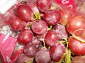 Red Globe Grapes