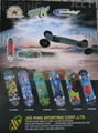 skateboard 1