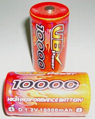 D Size Ni-MH Rechargeable Battery