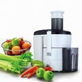 power juicer 5