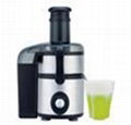 stainless steel power juicer