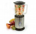 stainless steel blender 1