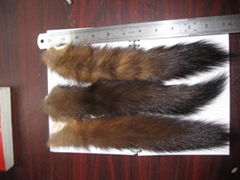 sable tail