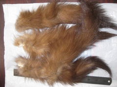 baum marten tail