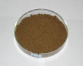 Squid Liver Powder