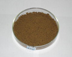 Squid Liver Powder